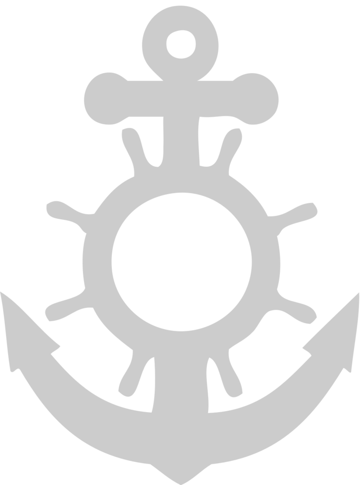 Anchor vector