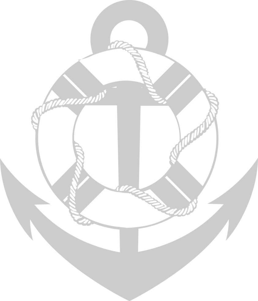 Anchor vector