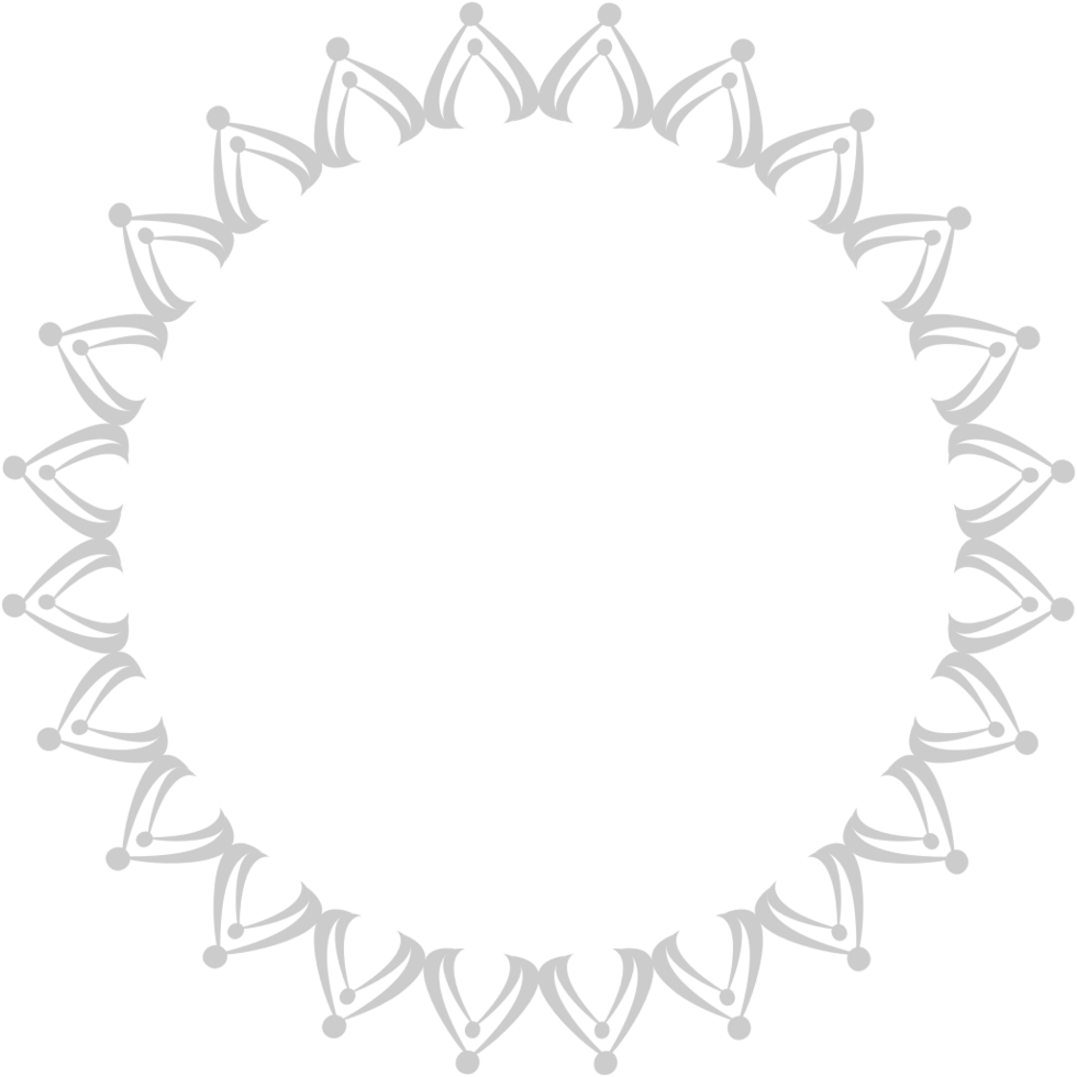 Fancy circle Border vector