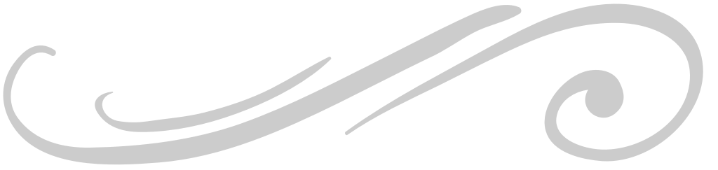 embellish vector