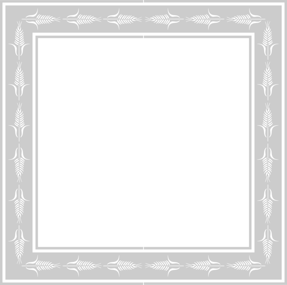 Frame vector