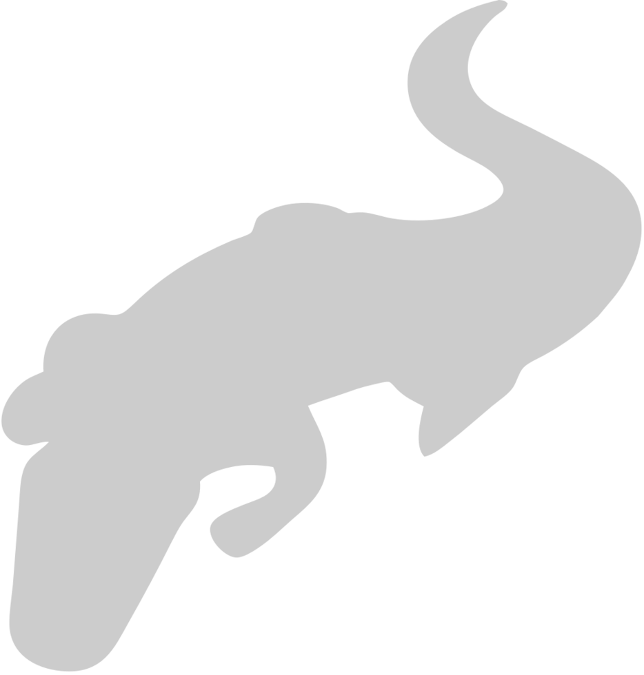 Alligator vector