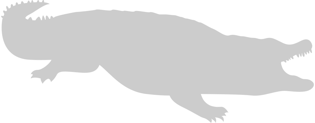 Alligator vector