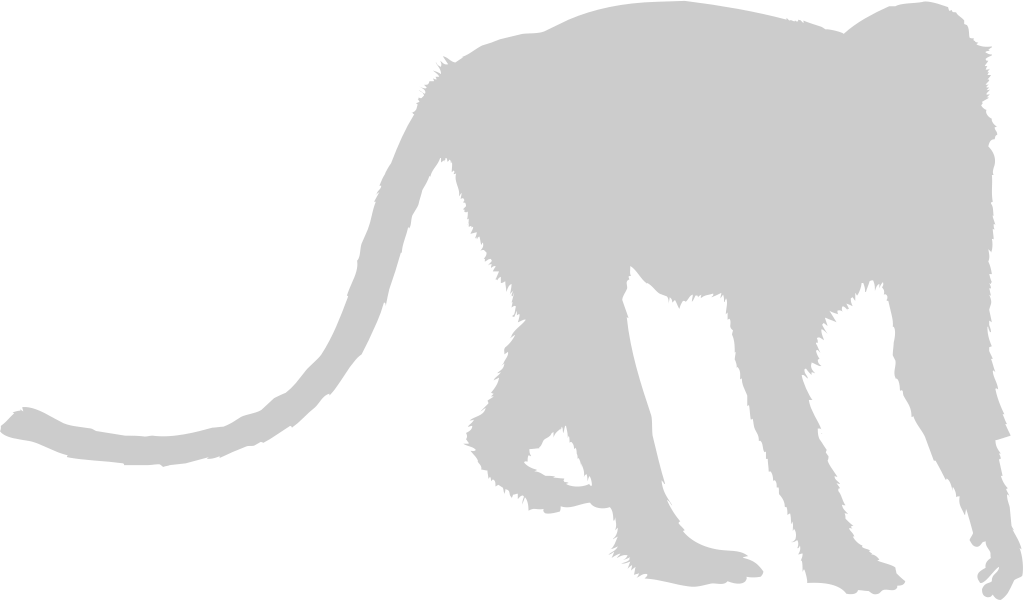 Ape vector