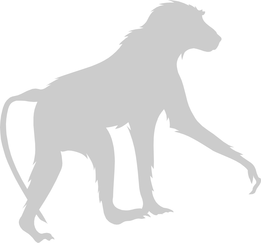 Ape vector