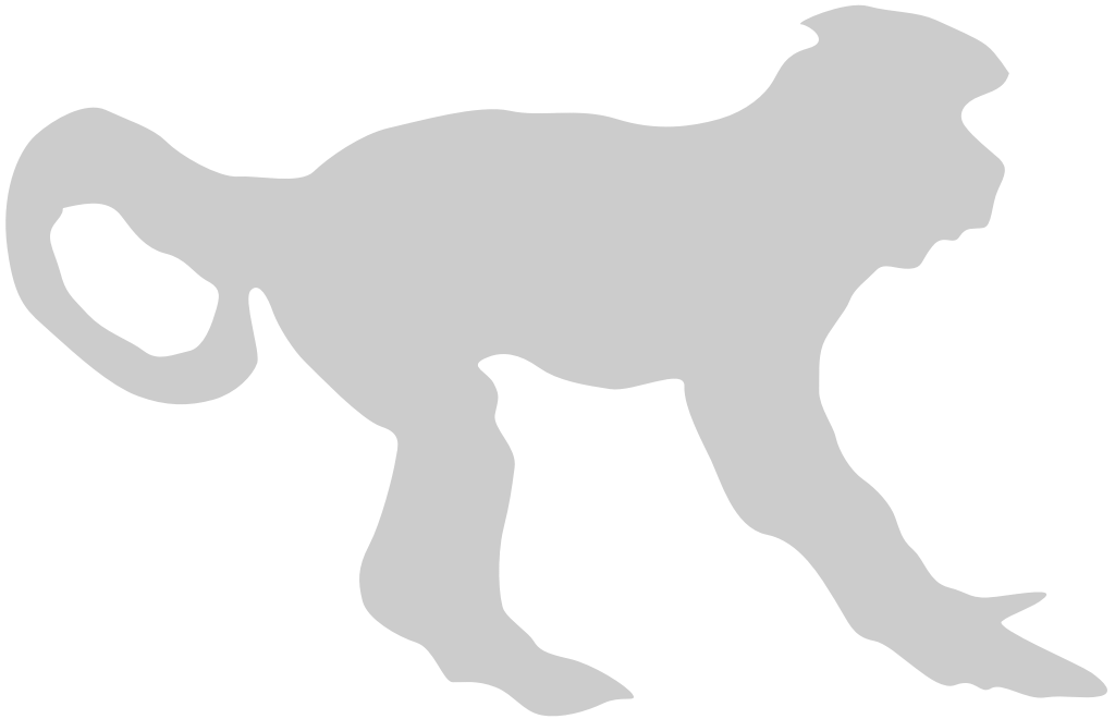 Ape vector