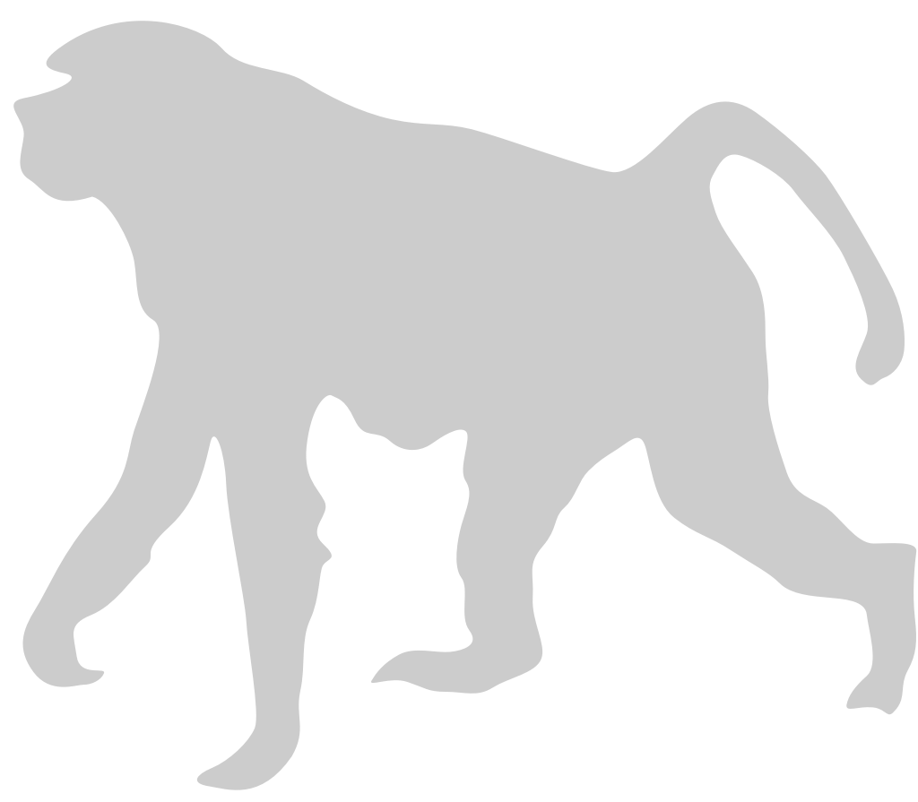 Ape vector