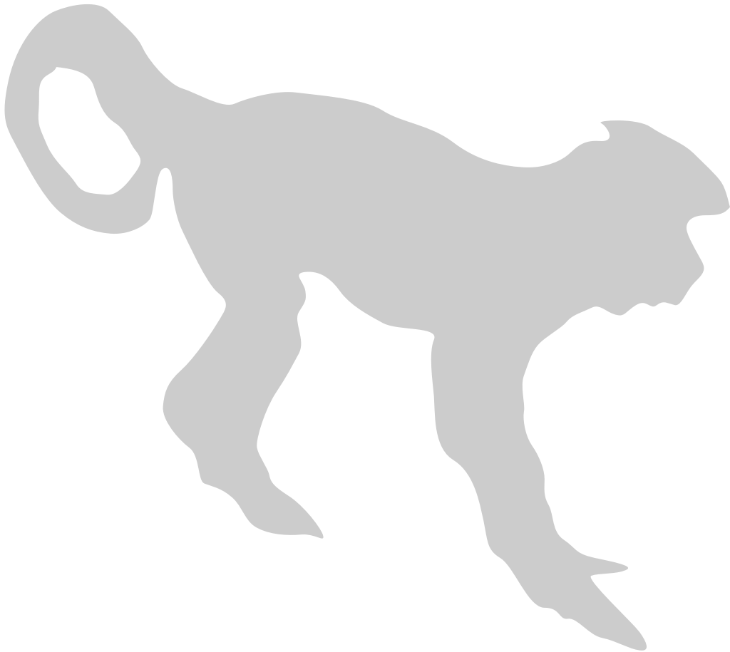 Ape vector