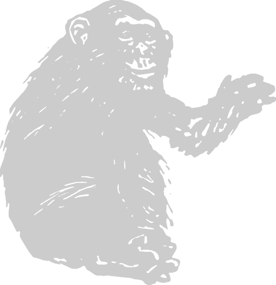 Ape vector
