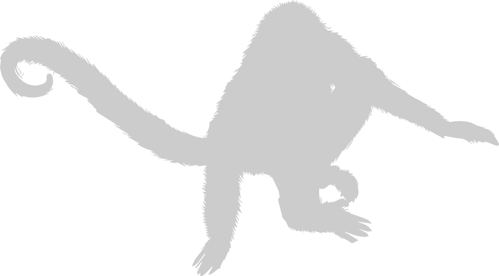 Ape vector