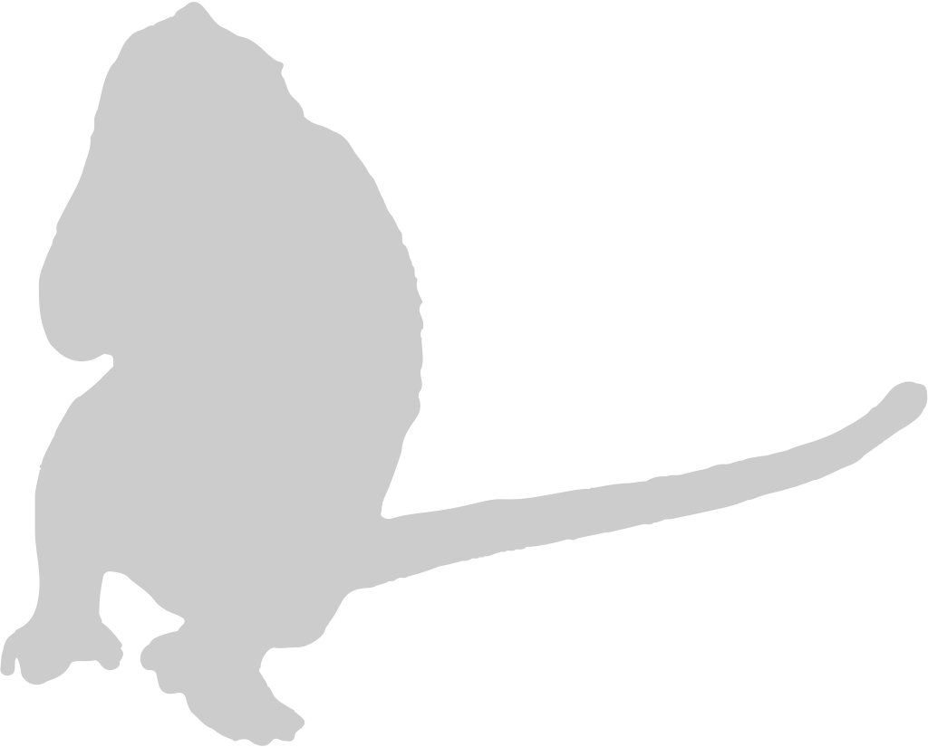 Ape vector