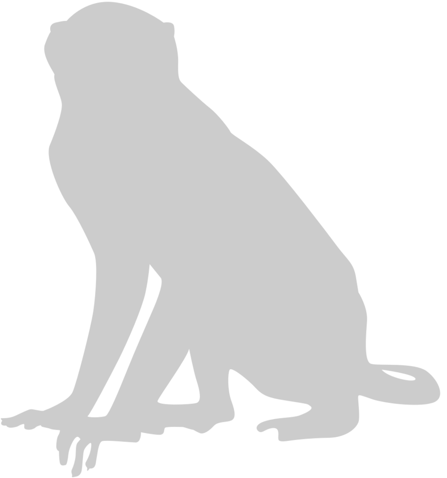 Ape vector