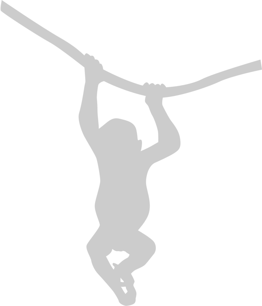 Ape vector