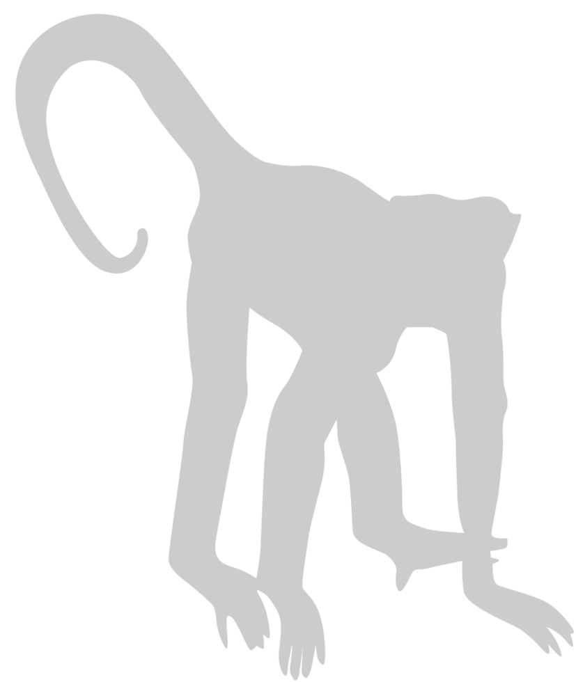 Ape hanging vector