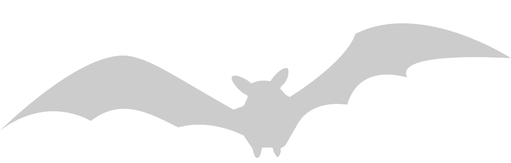 Bat flying vector