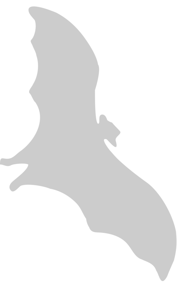 Bat vector