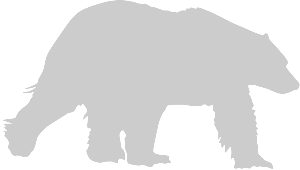 Bear polar vector