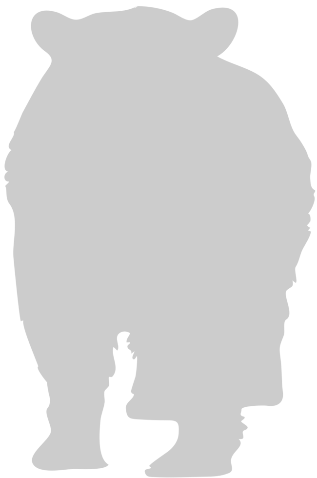 Bear  vector