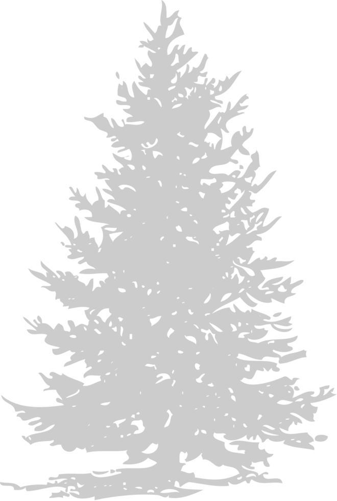 Pine Tree vector