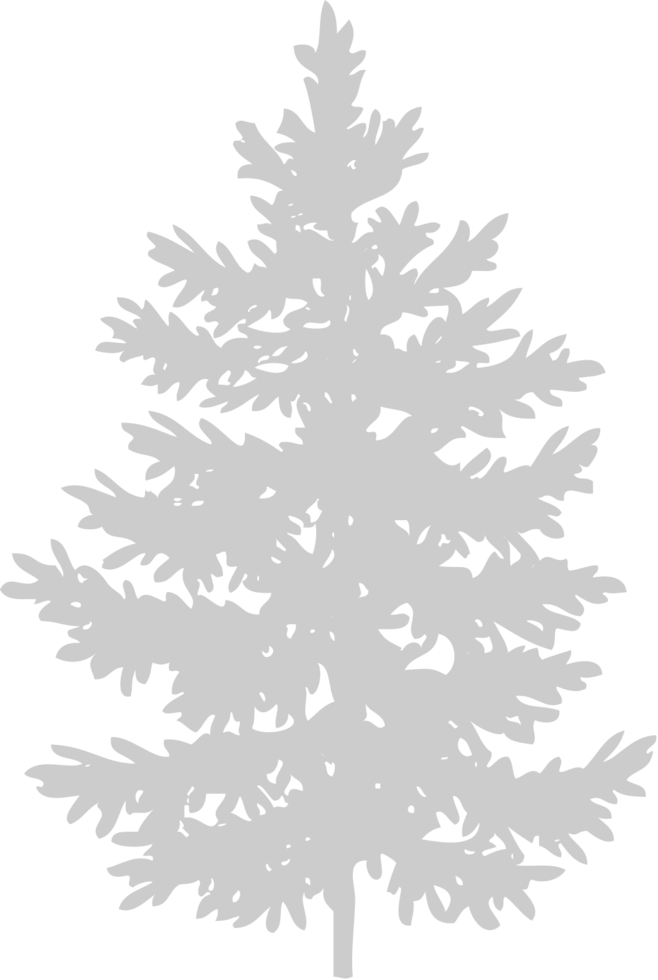Pine Tree vector