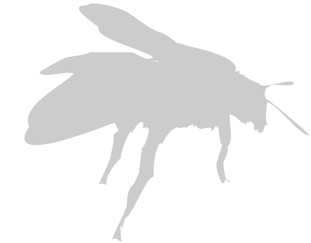 Bee vector