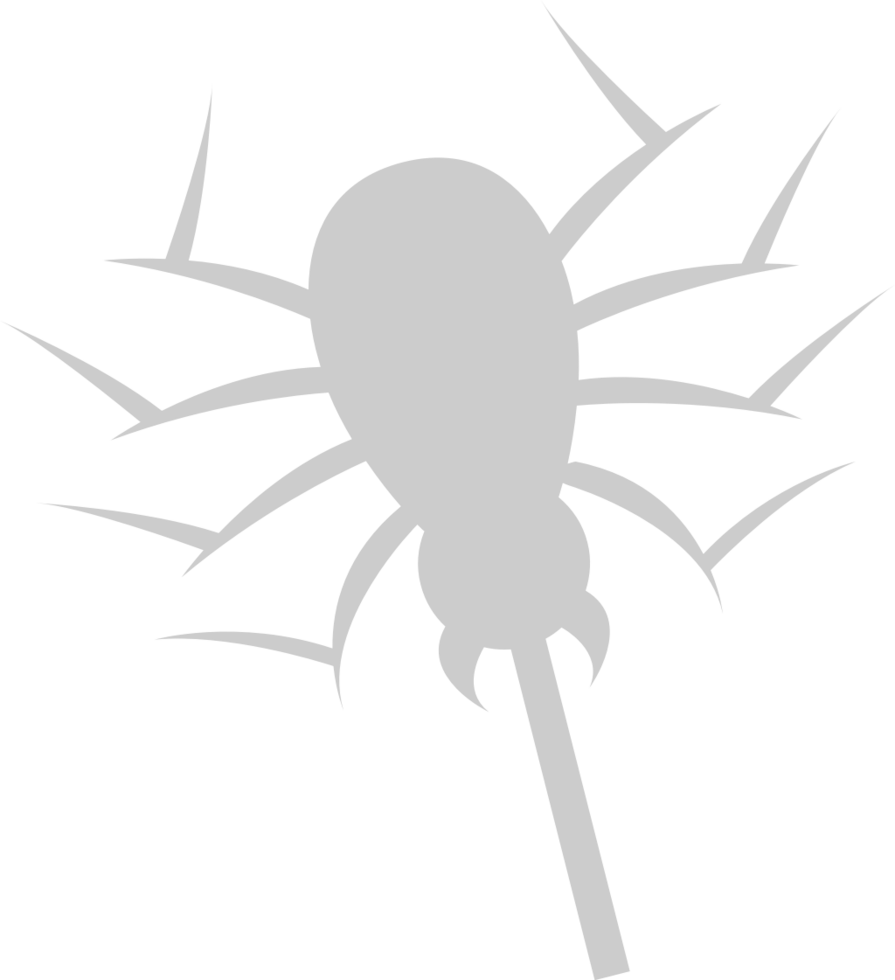 Spider vector