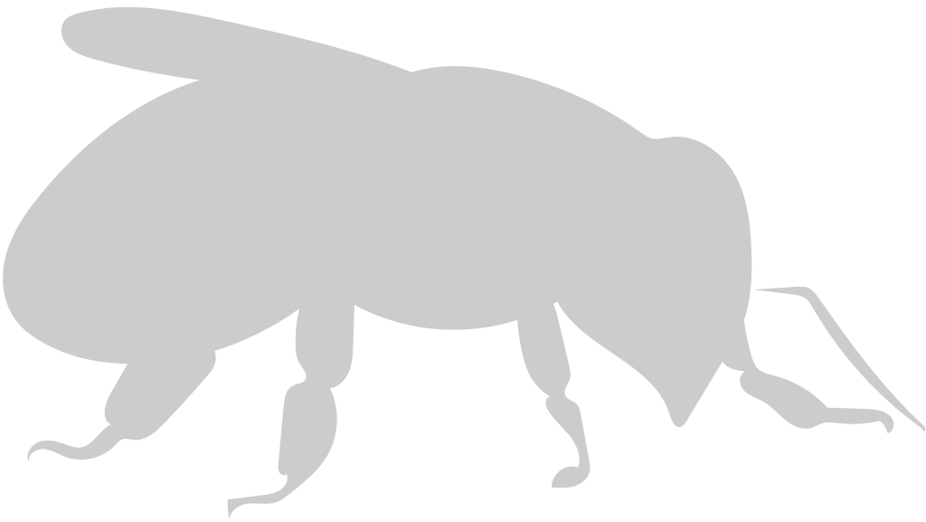 Bee vector
