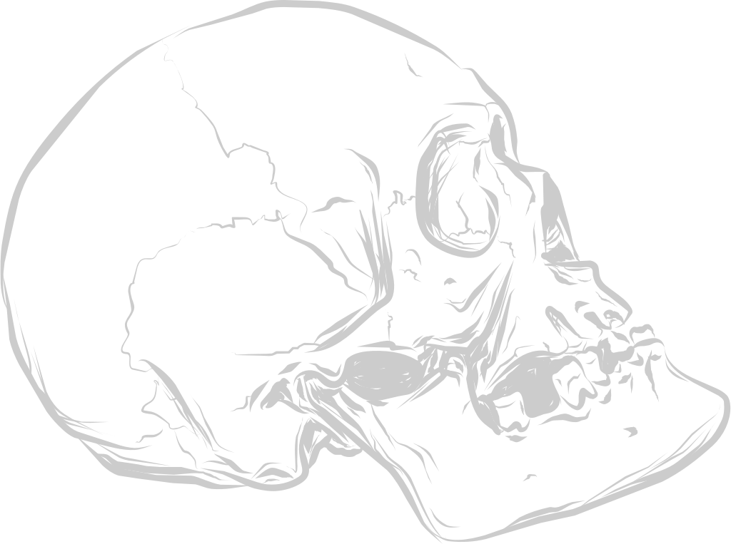 Death skull sketch vector