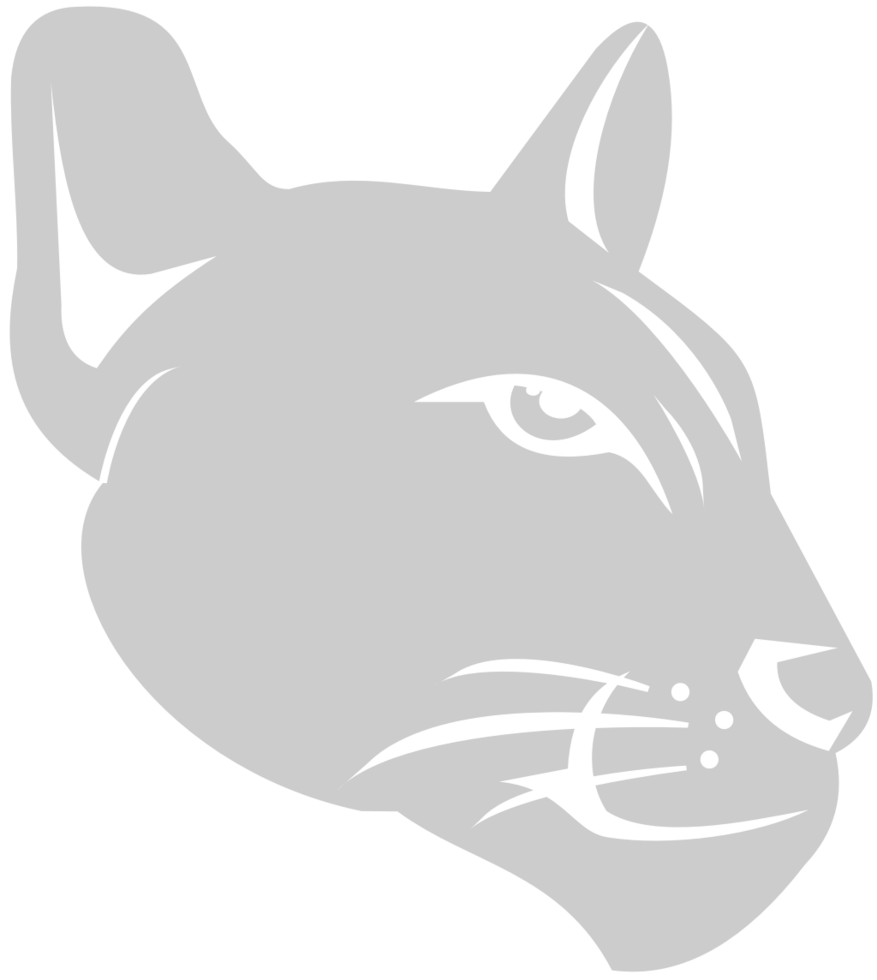 Bobcat head vector