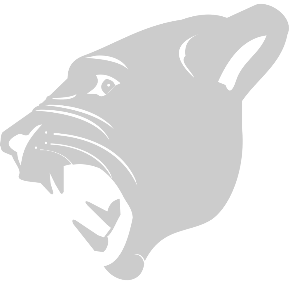 Bobcat head vector