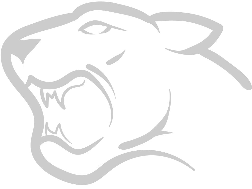 Bobcat vector