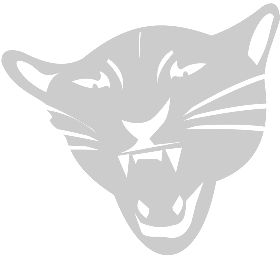 Bobcat head vector