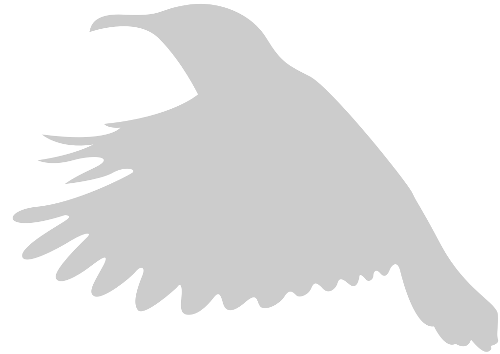 Bird vector
