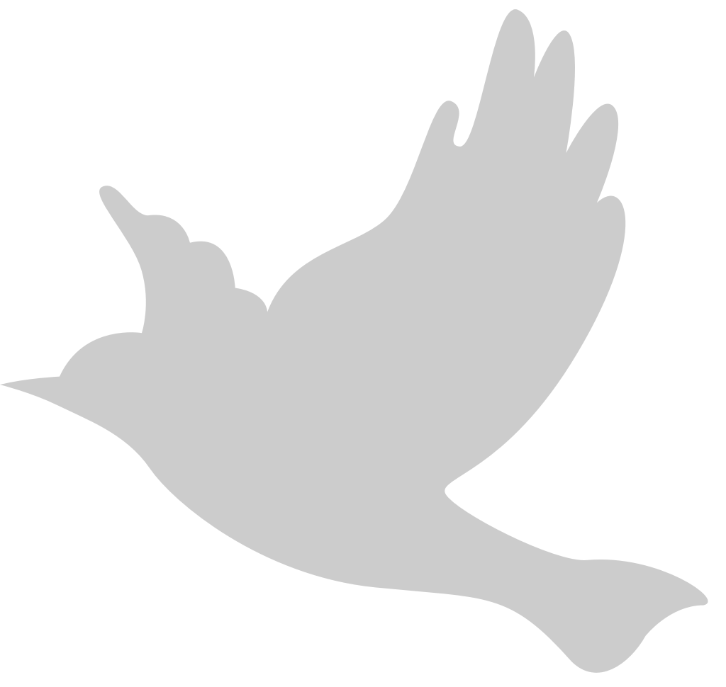 Bird vector
