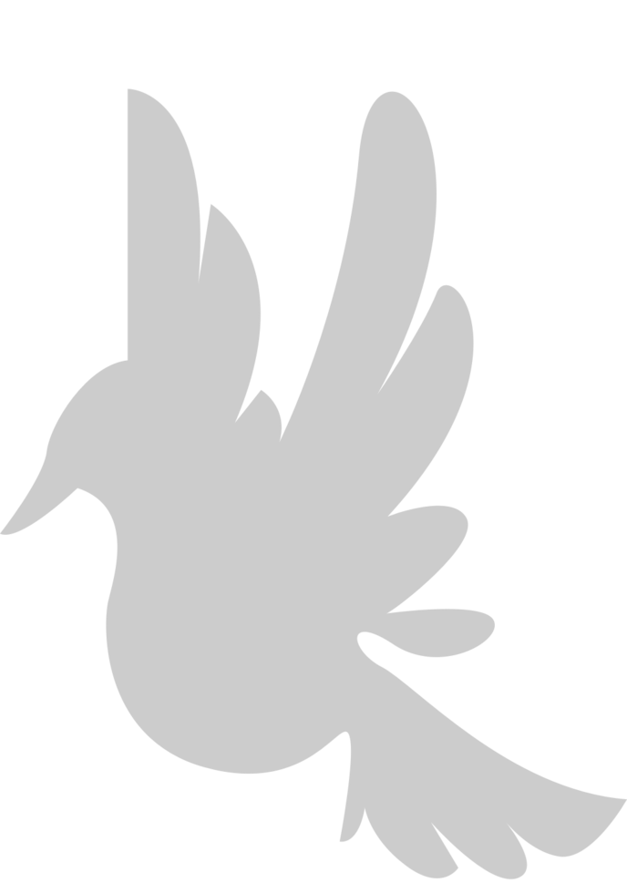 Bird vector