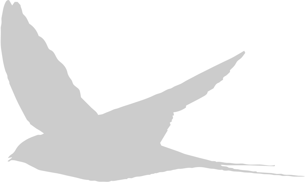 Bird vector