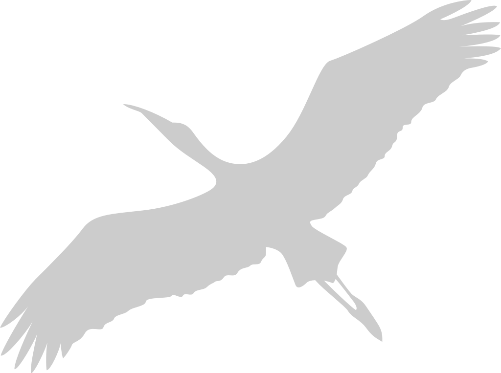 Bird vector