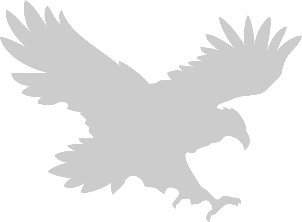 Bird vector