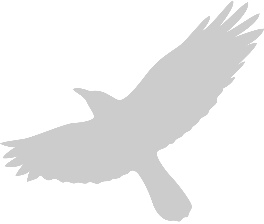 Bird vector
