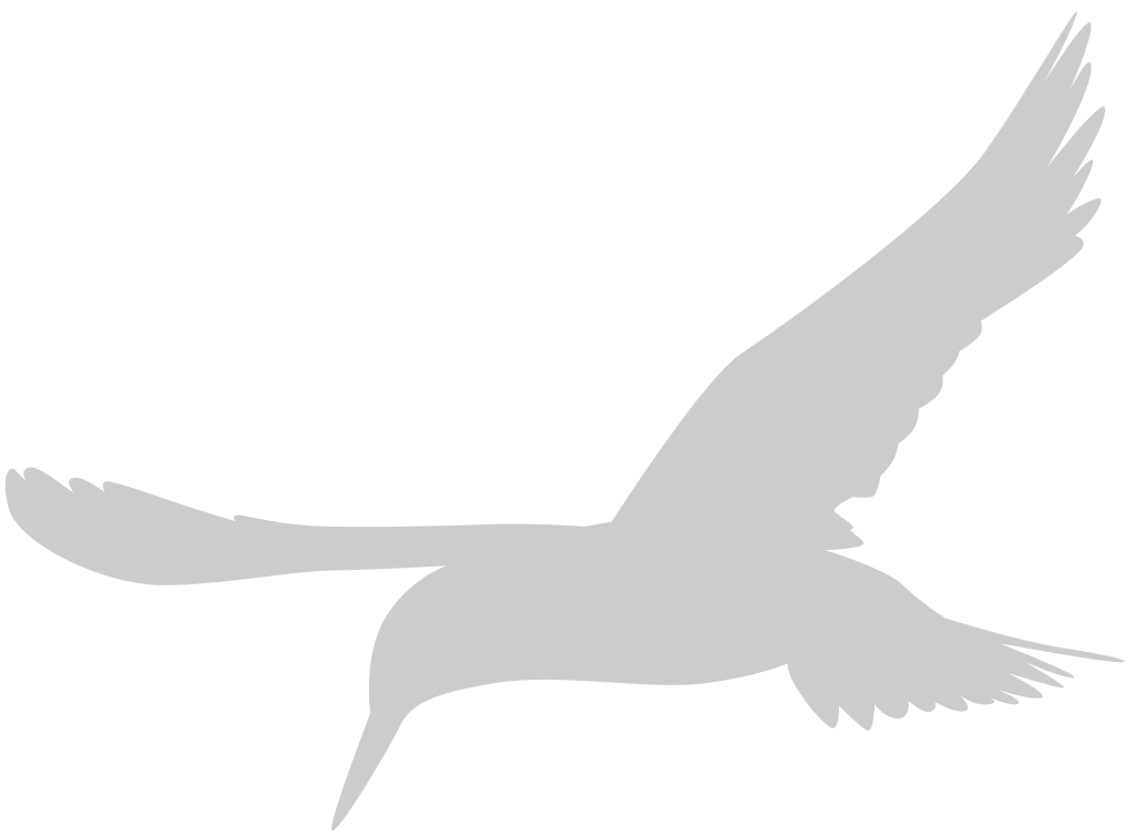 Bird vector