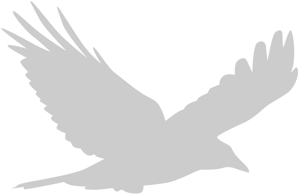 Bird vector