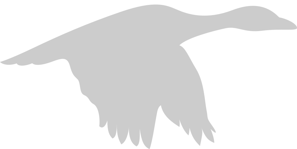 Bird vector