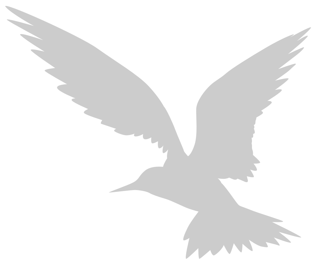 Bird vector