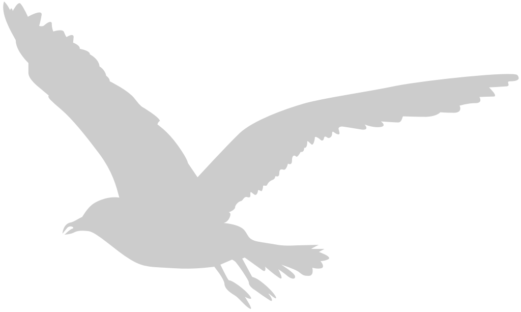Bird vector