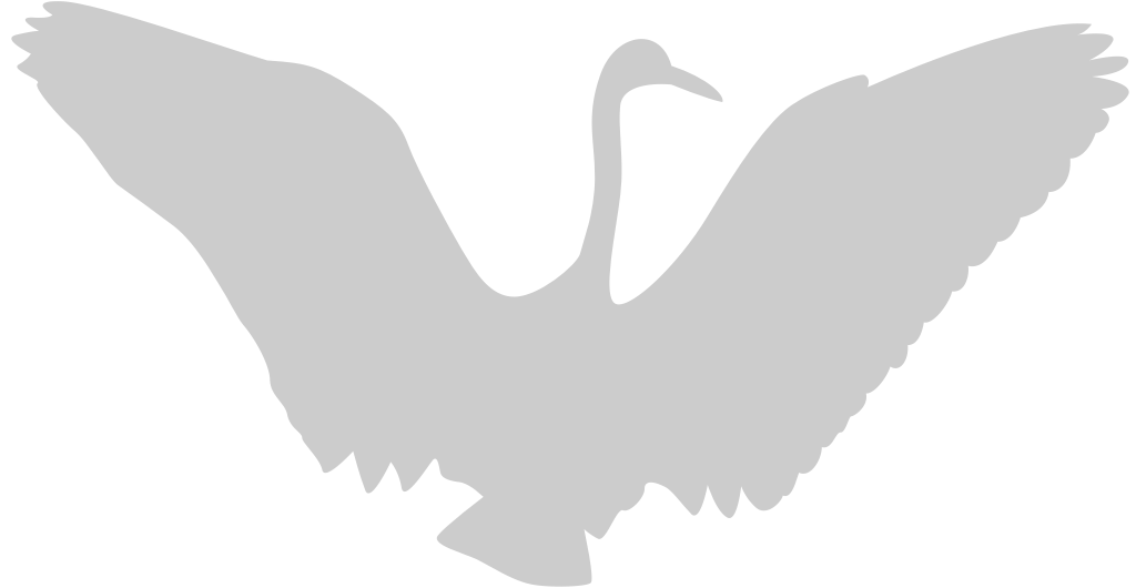 Bird vector