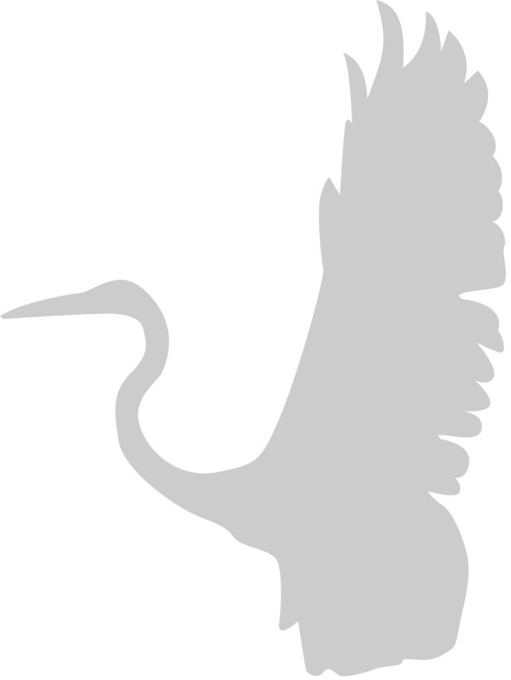 Bird vector