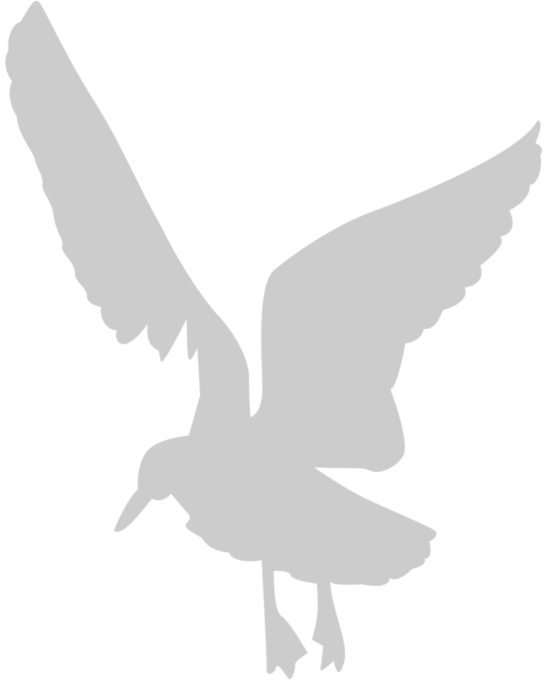 Bird vector