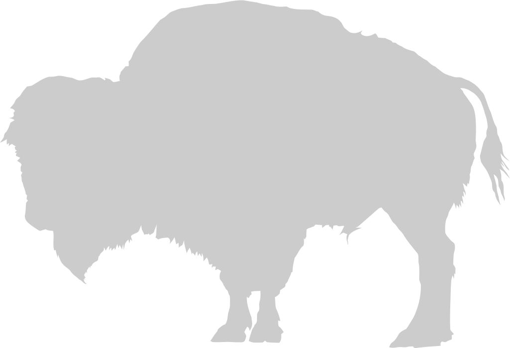 Buffalo vector