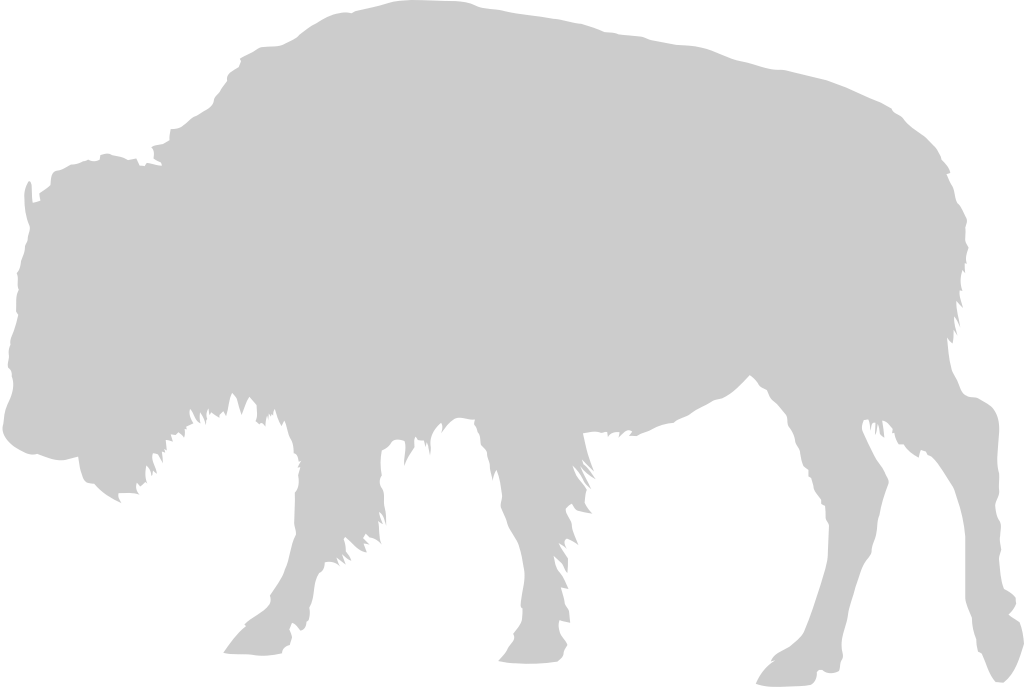 Buffalo vector