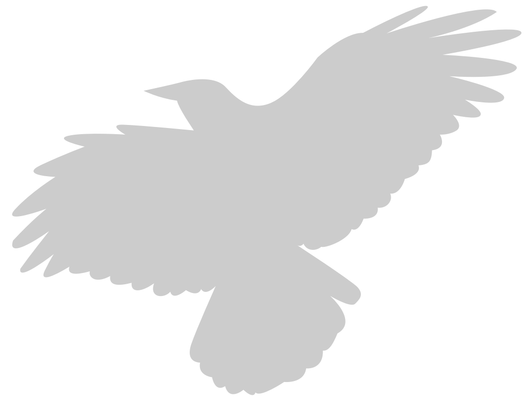Bird vector